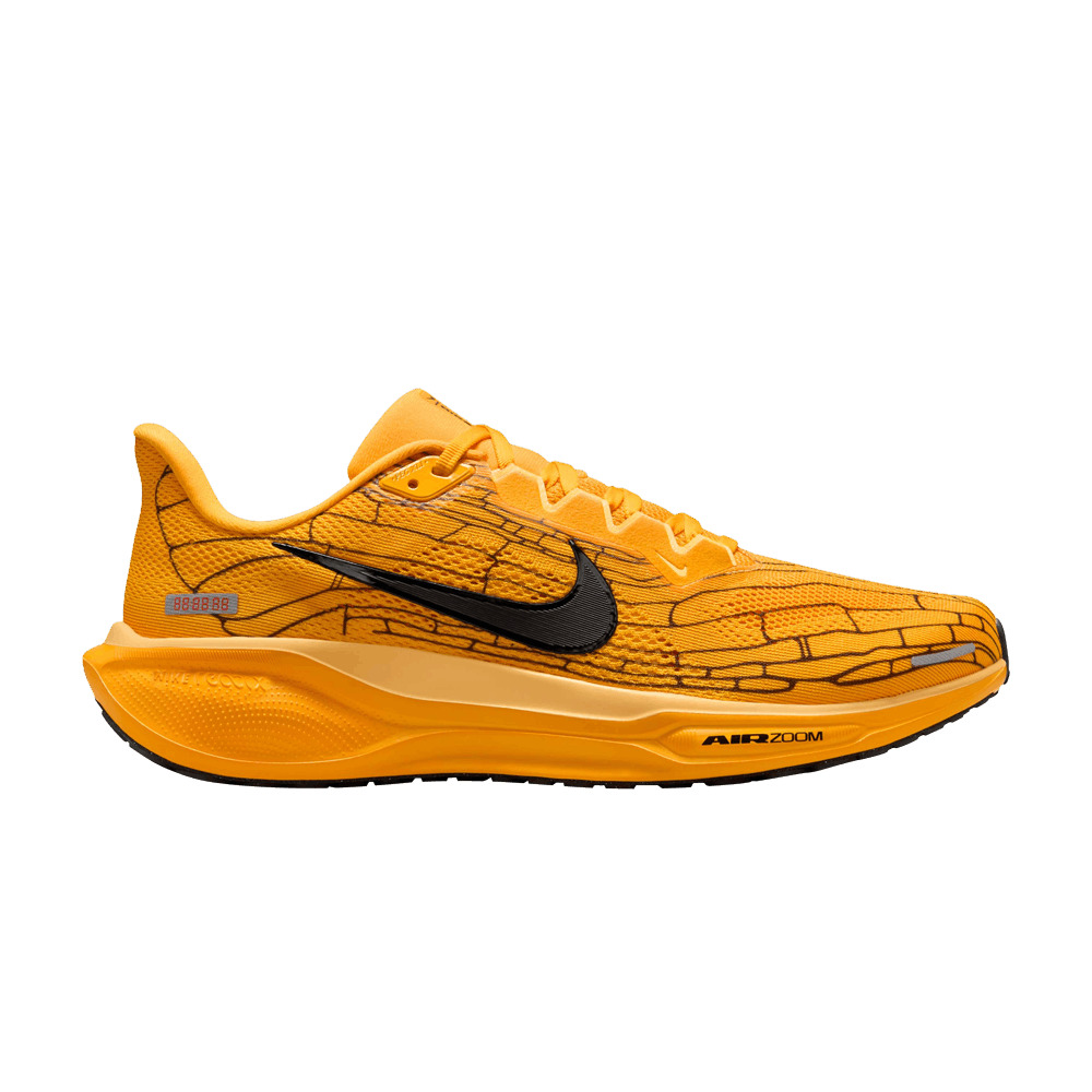 Air Zoom Pegasus 41 'Modern Mayfly Pack' - 1