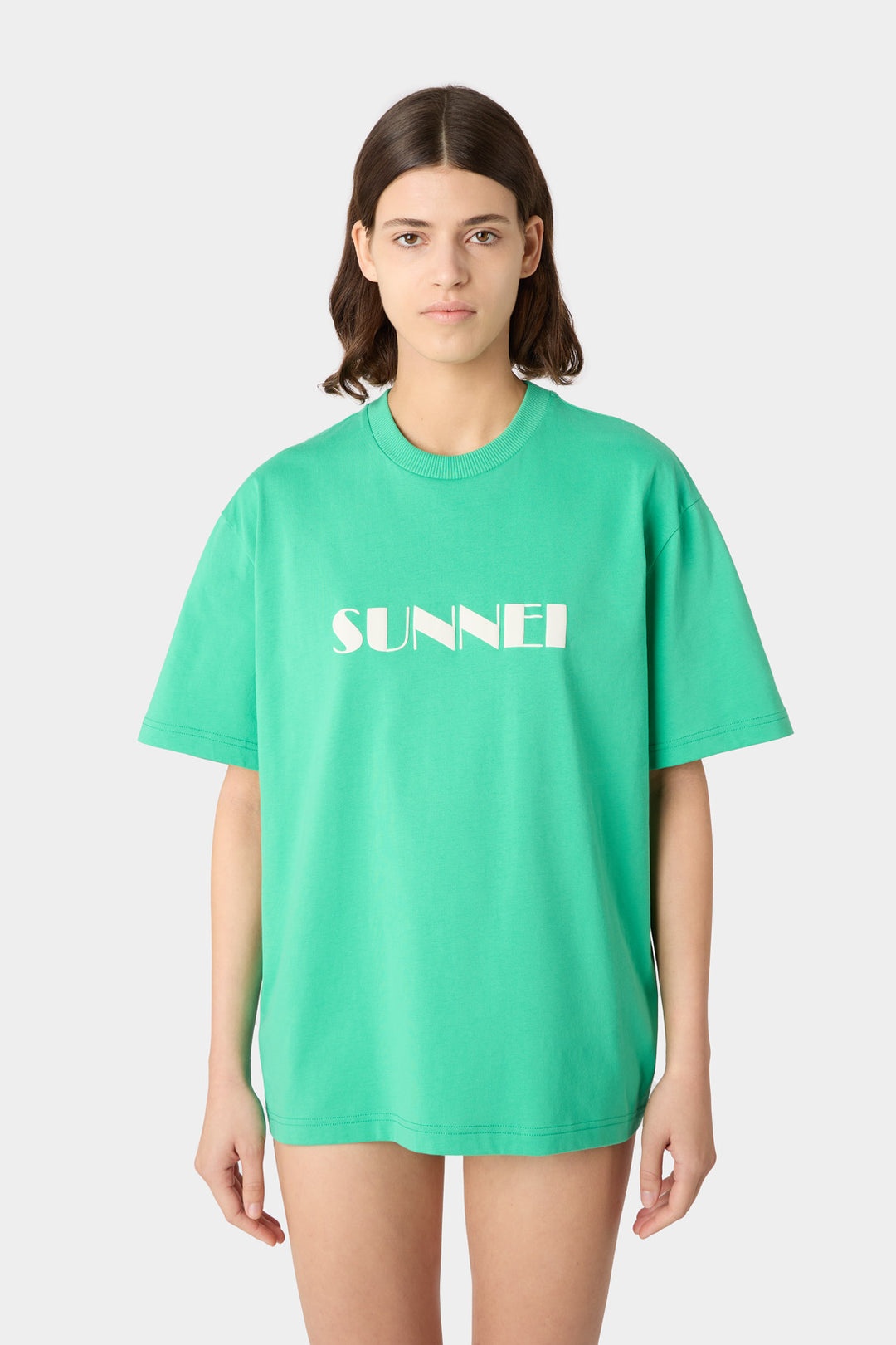 BIG LOGO SPRAYED T-SHIRT / emerald green - 3