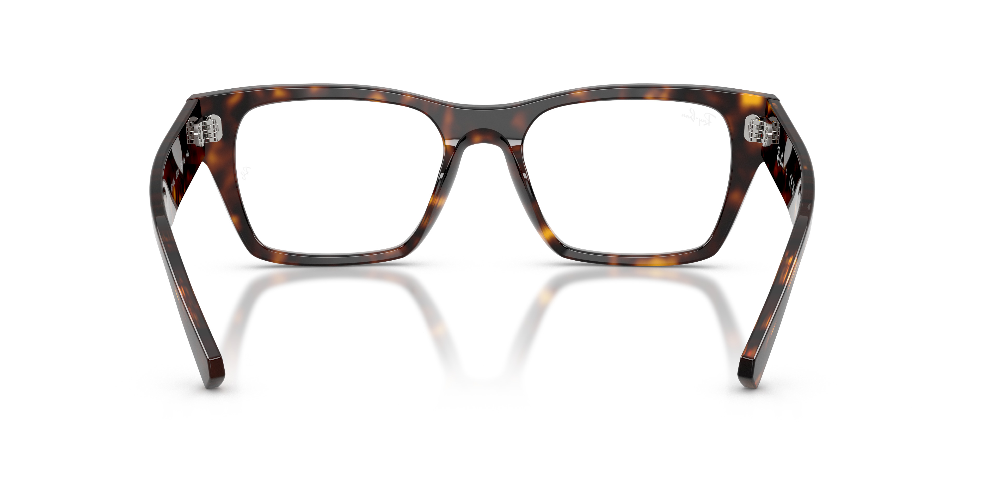 RB5448 OPTICS - 6