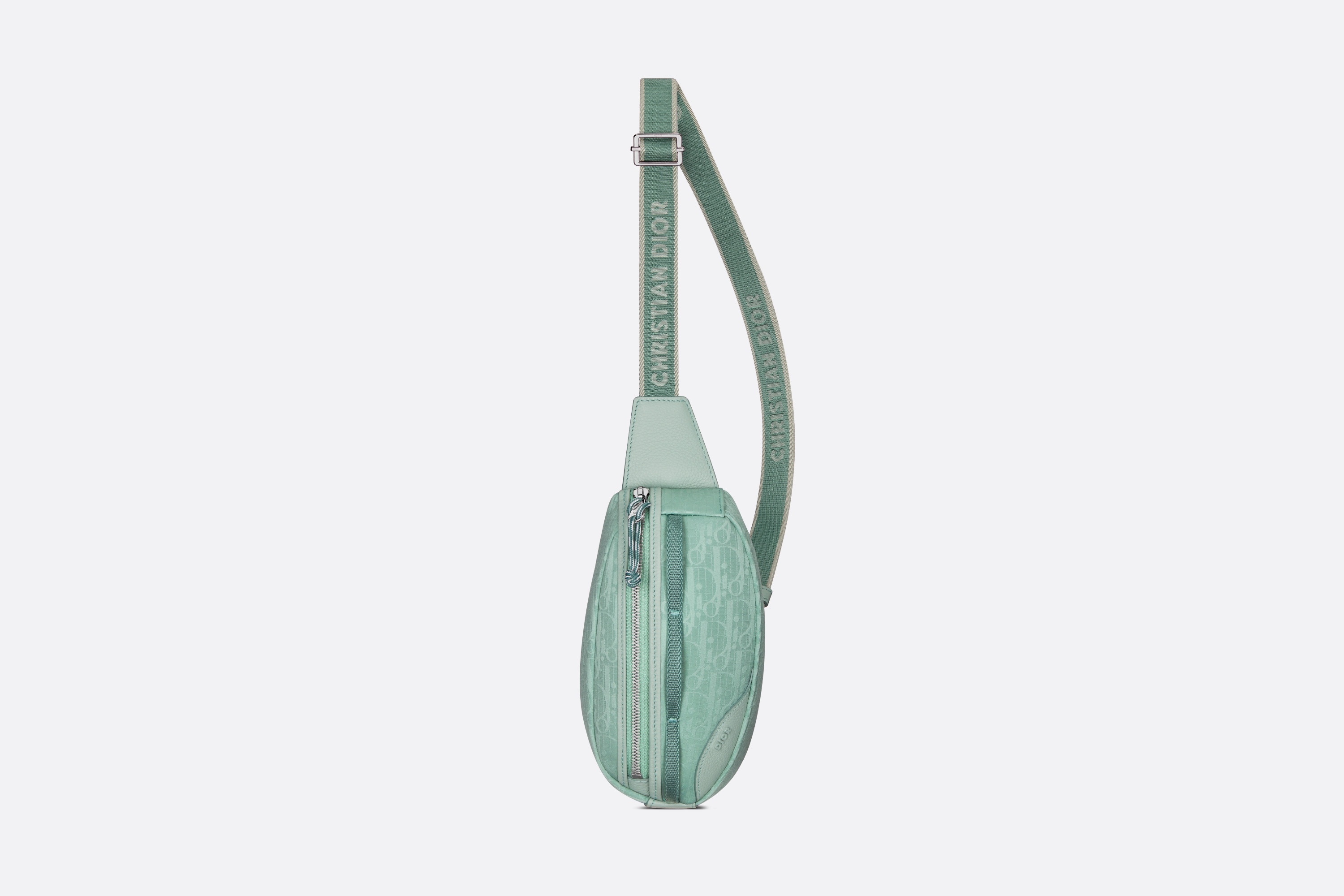 Mini Dior Scarab Bag 1