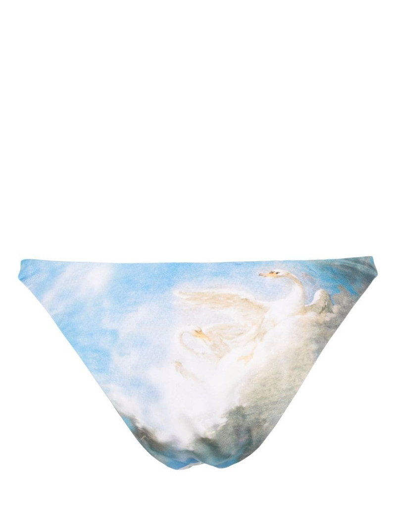 Roberto Cavalli reversible bikini bottoms outlook