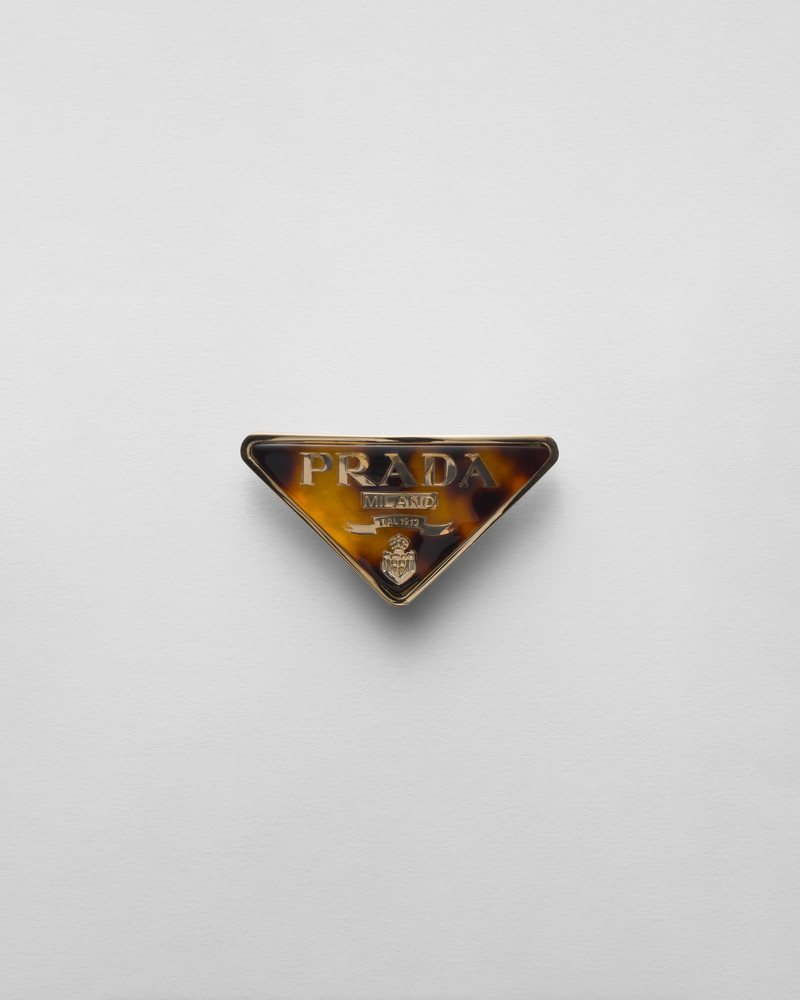 Plexiglas and metal hair clip 1