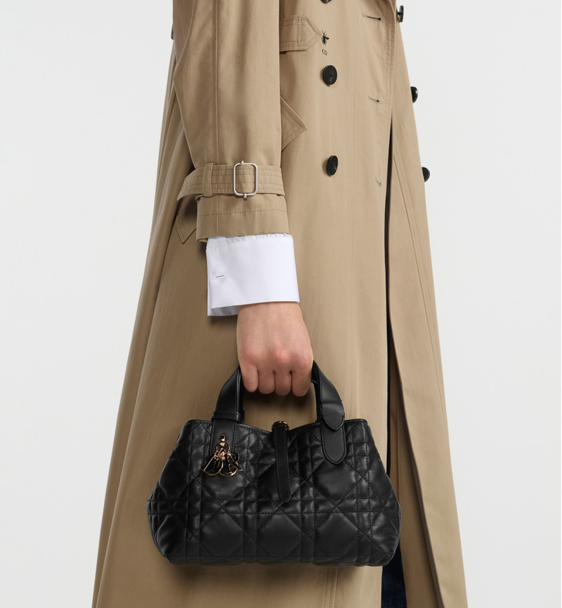 Small Dior Toujours Bag 3