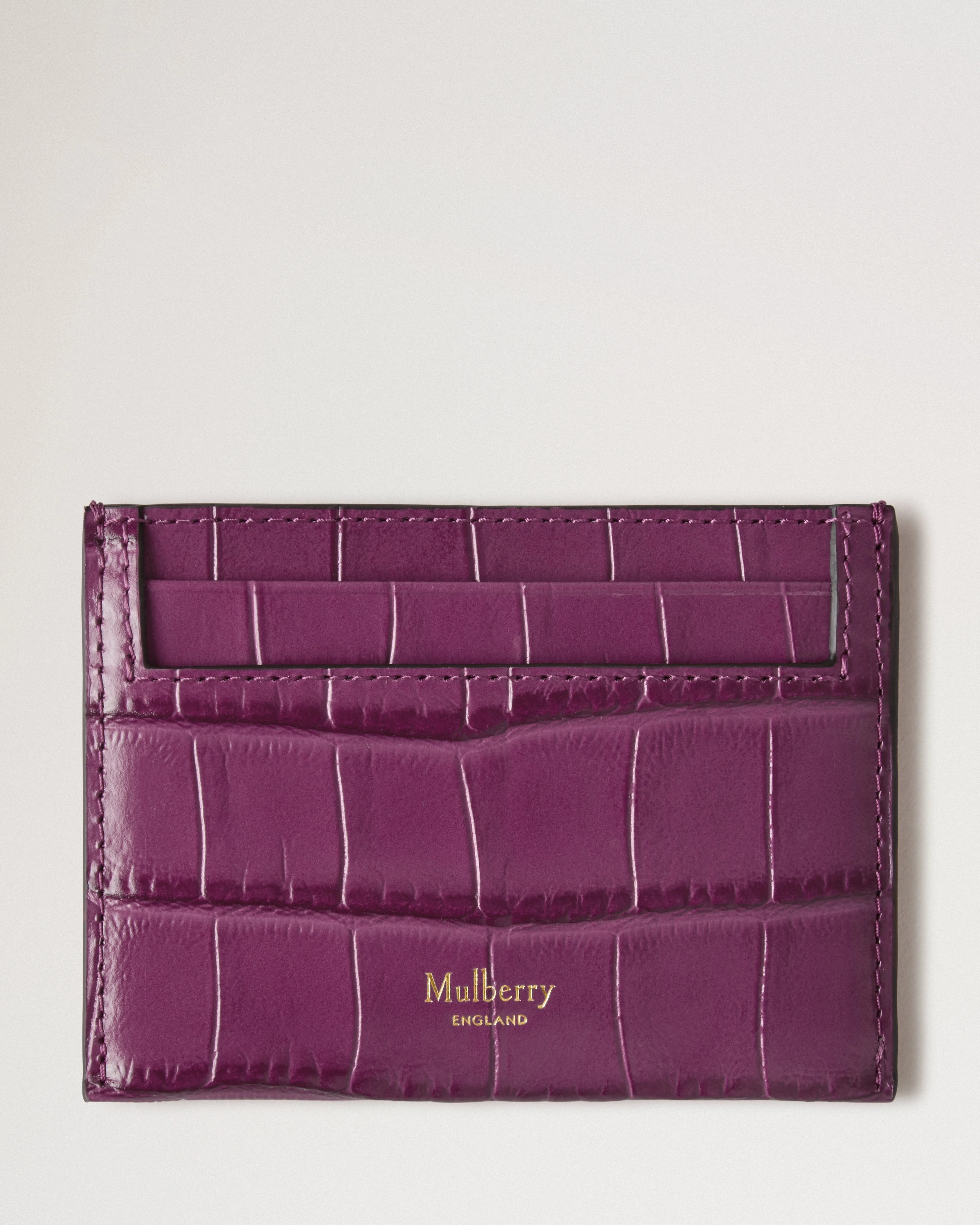 Credit Card Slip
Orchid Bloom Shiny Small Croc - 1