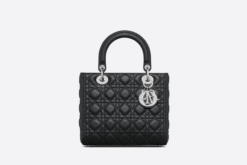Medium Lady Dior Bag 1