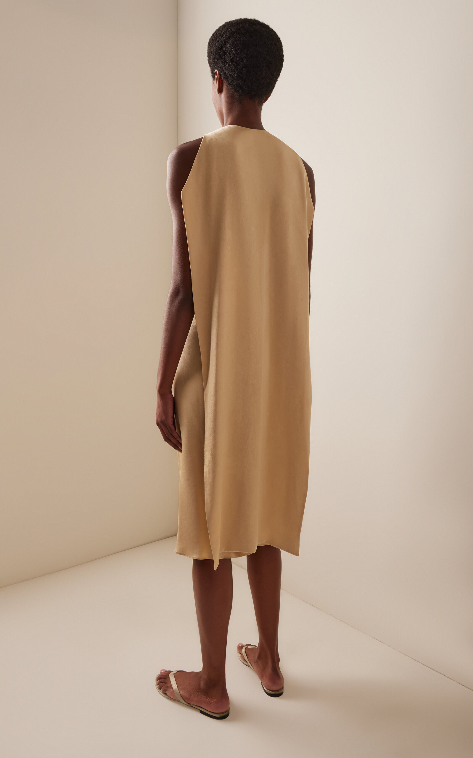 Baras Silk Midi Cape Dress neutral - 4