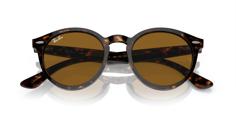 Ray-Ban LARRY outlook