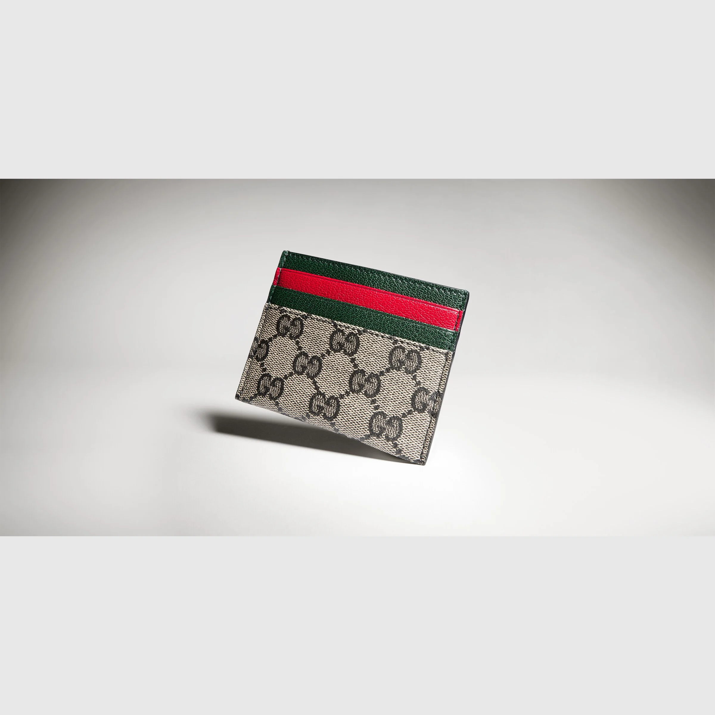 Card case with Web card slots - 1