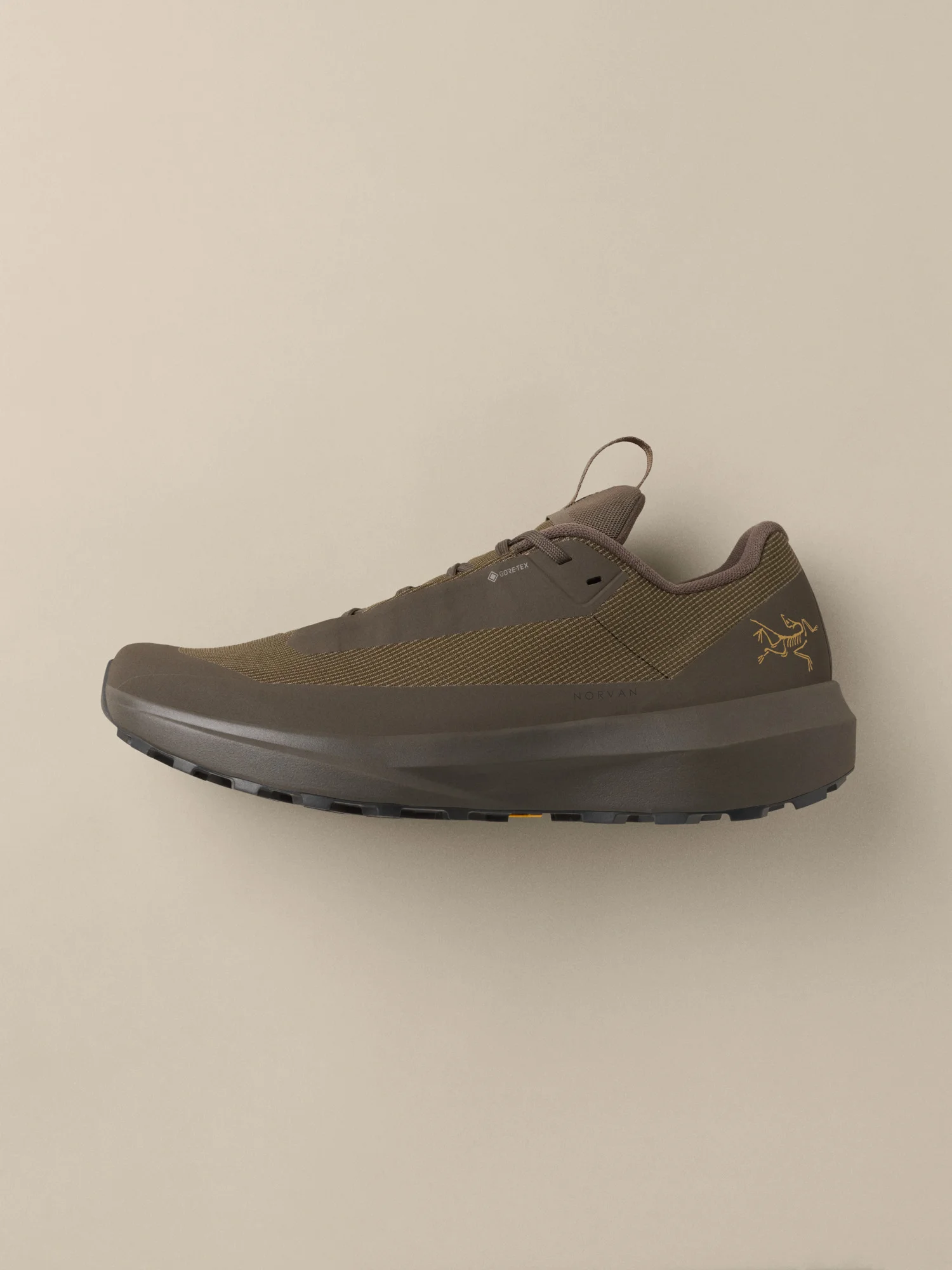 Norvan LD 4 GTX Shoe - 1