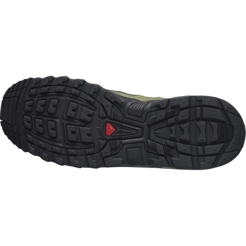 SALOMON ACS + SEASONAL outlook