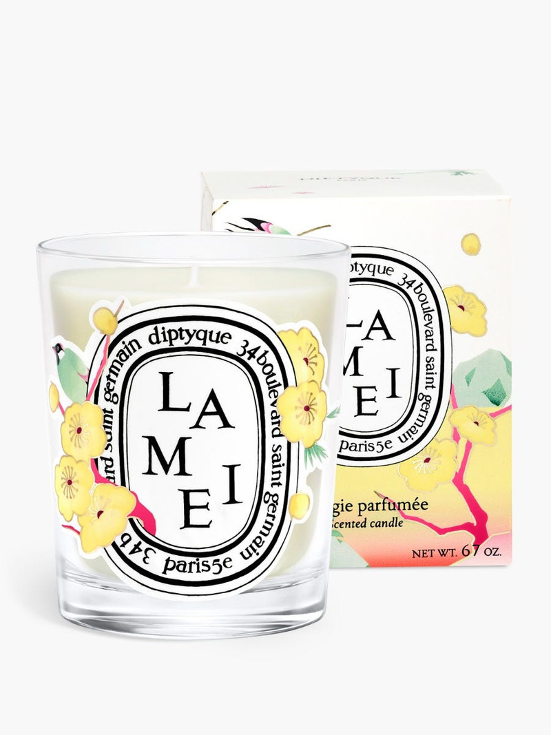 Lamei (Wintersweet) - Classic Candle 1