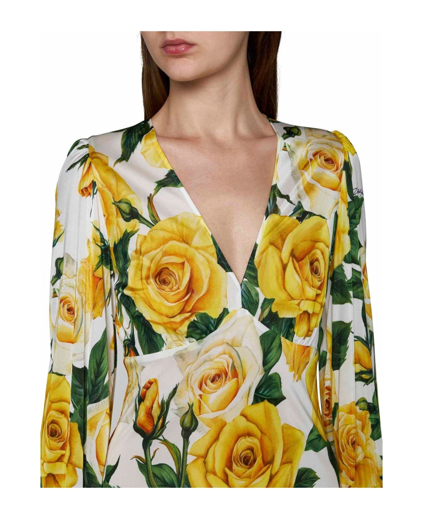 Rose Printed V-neck Dress - 4