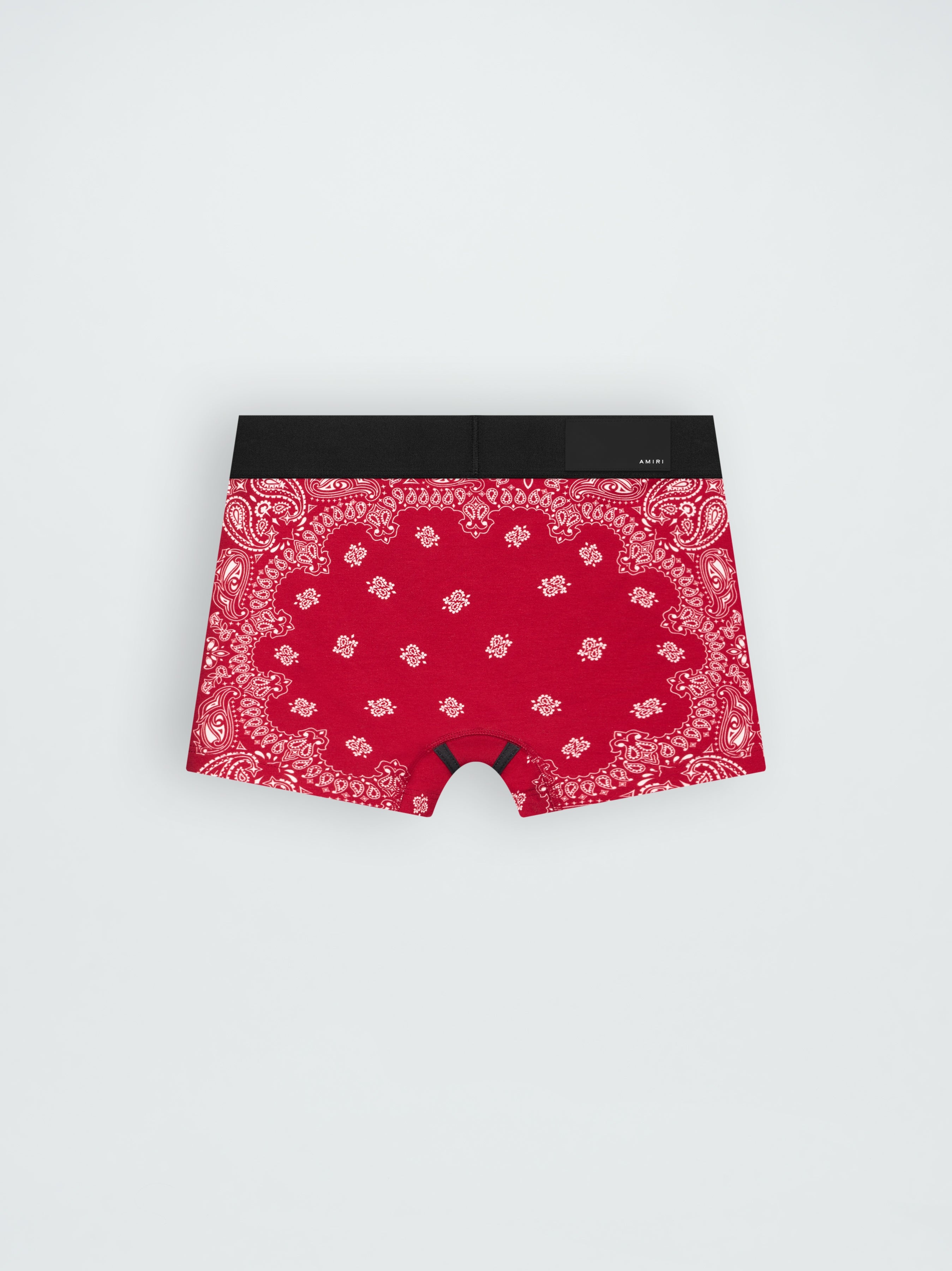 BANDANA BRIEFS - 2