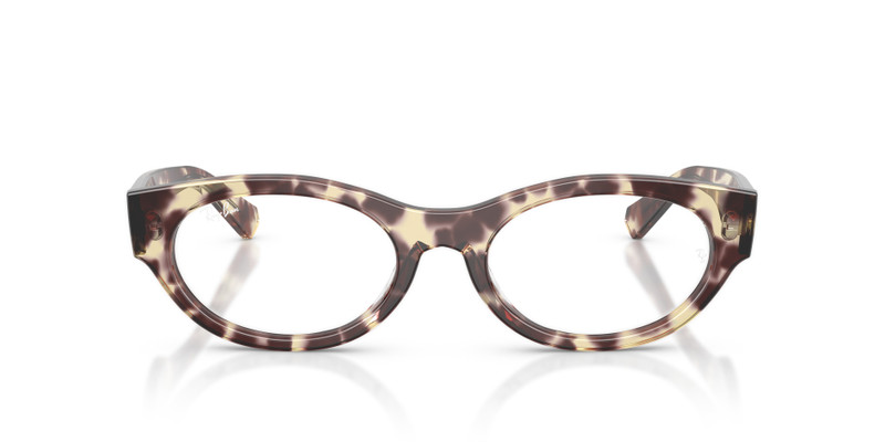 RB5447 OPTICS 4