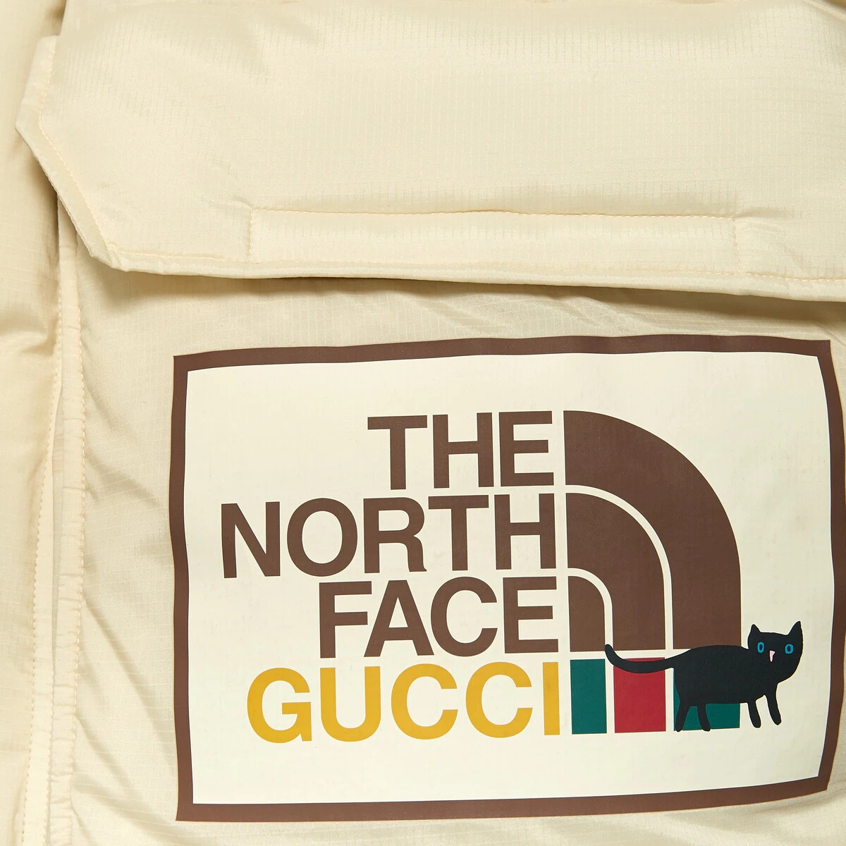 The North Face x Gucci down jacket - 6