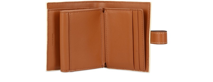 Shop CELINE Triomphe Canvas Small Strap Wallet In Triomphe Canvas And  Lambskin (10H262DB7.01TA, 10H262DB7.04LU) by Youshop