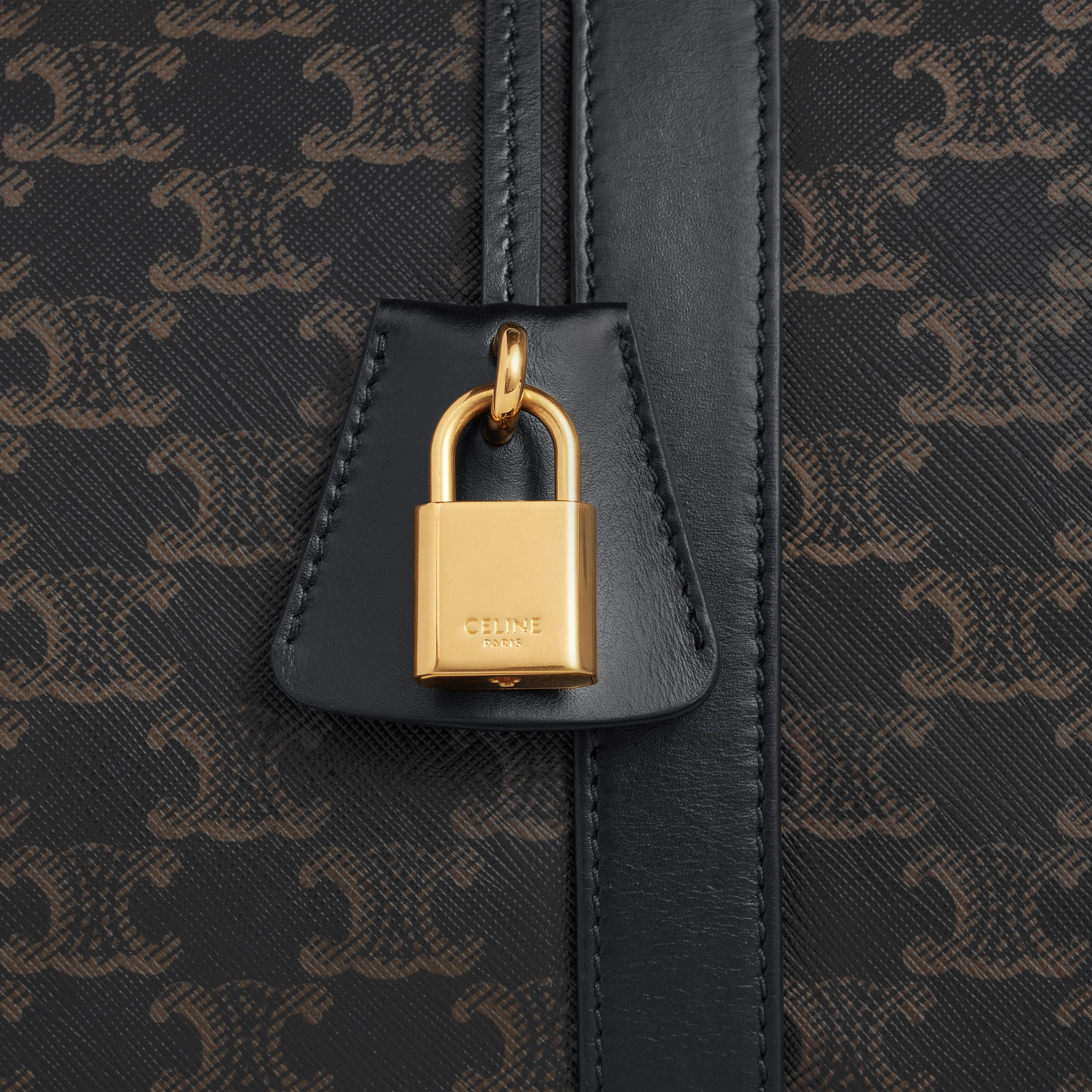 Medium Travel Bag in Triomphe Canvas and calfskin - 4