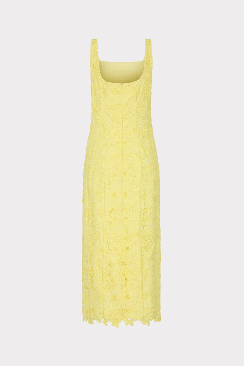 Izel Lace Midi Dress 3
