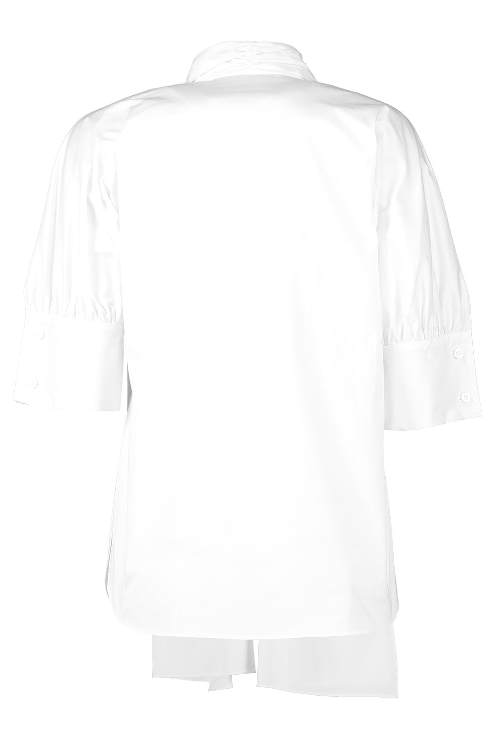 Elbow Sleeve Tie Neck Blouse - 6