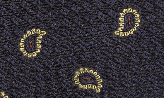 Paisley Silk Jacquard Tie in Midnight Blue/Lemon - 3