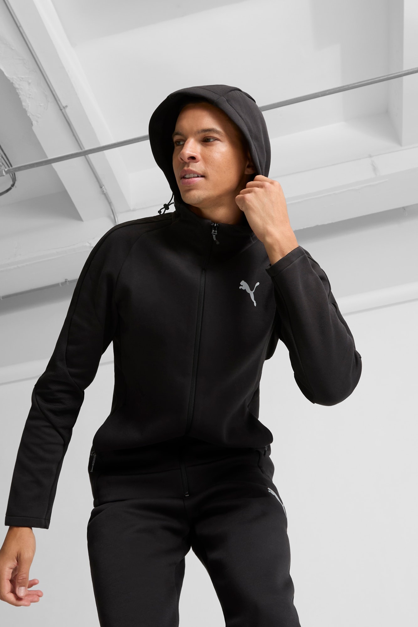 EVOSTRIPE Full-Zip Men's Hoodie - 3