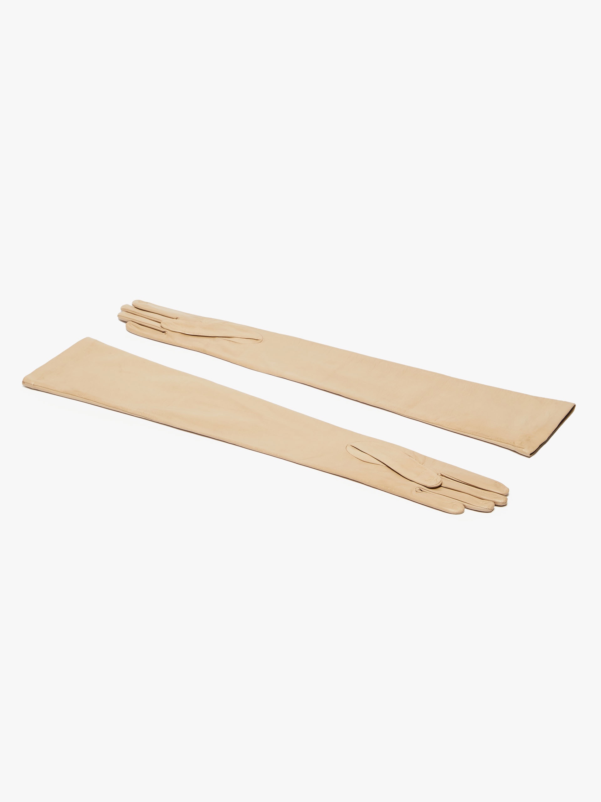 AMICA Nappa leather gloves - 1