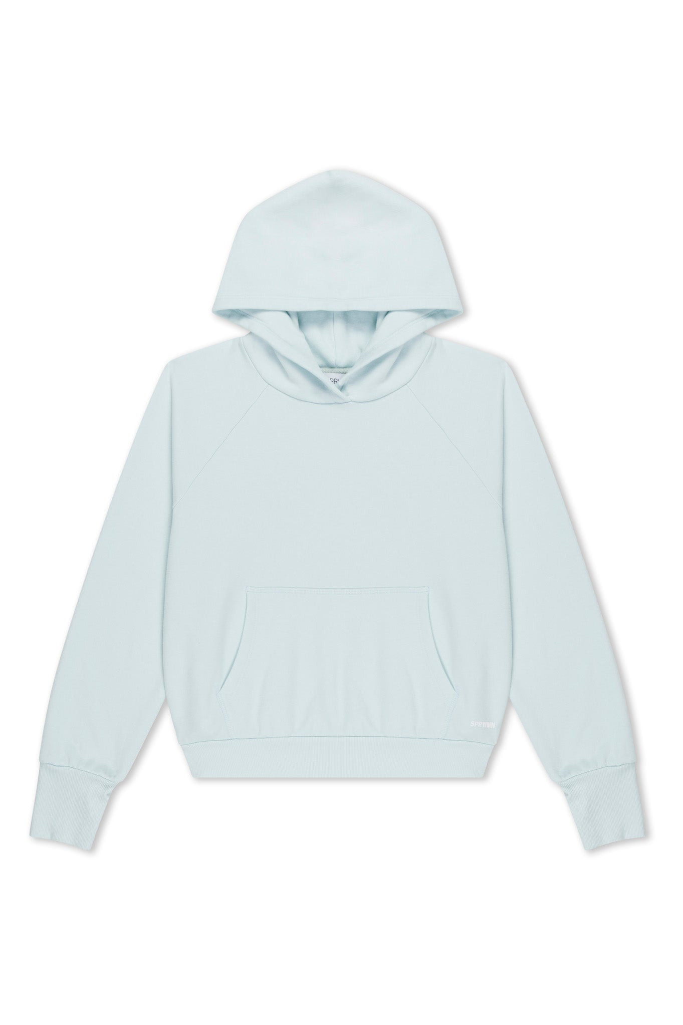 ICE SHRUNKEN HOODIE - 5