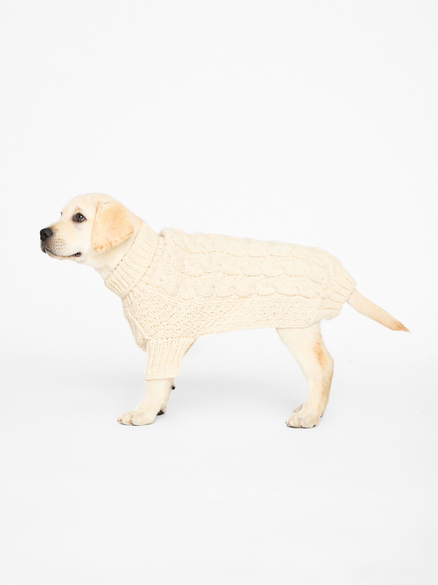 The Cable Dog Sweater - 6