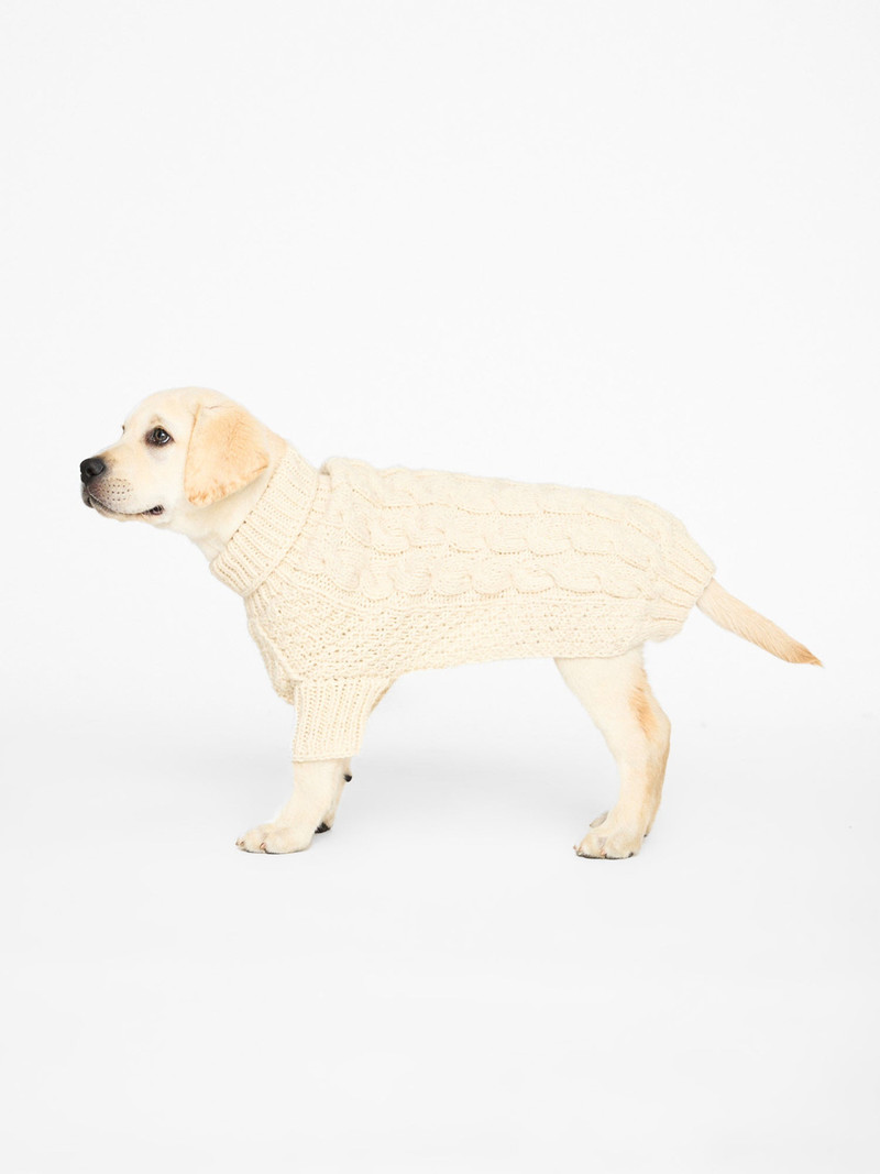 The Cable Dog Sweater 6