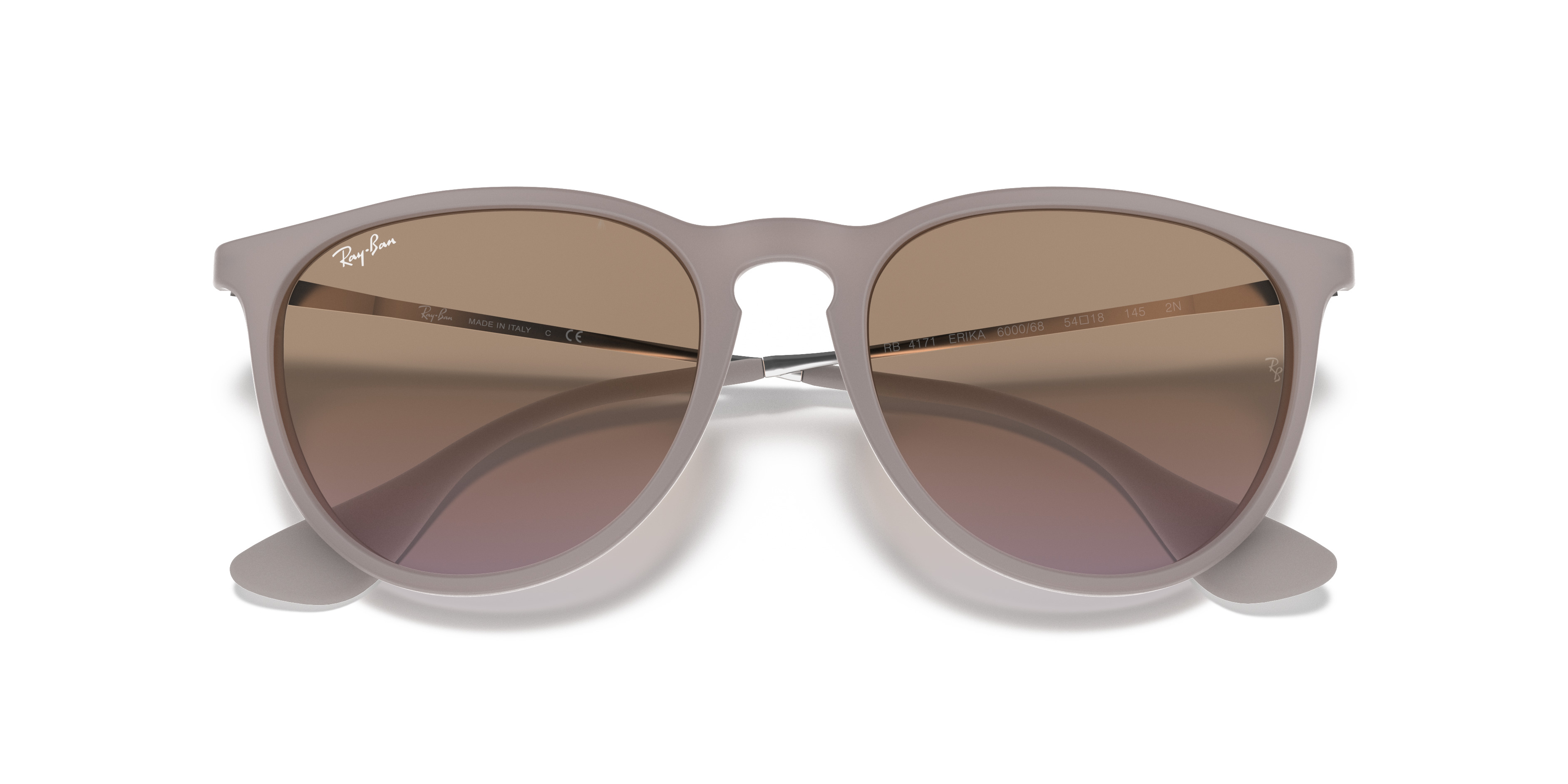 RB4171 Erika Classic - 5