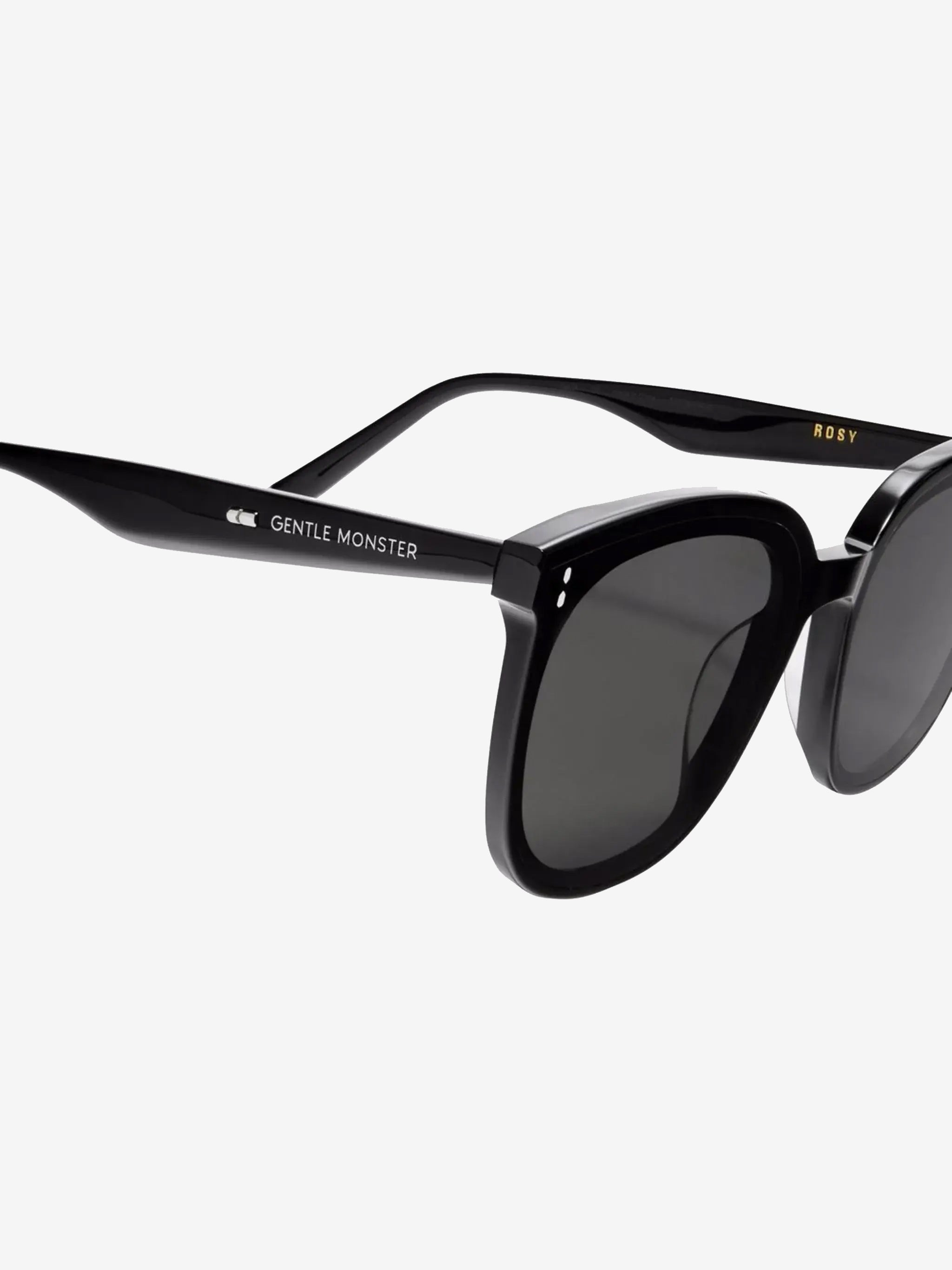GENTLE MONSTER ROSY-01 Sunglasses - 3
