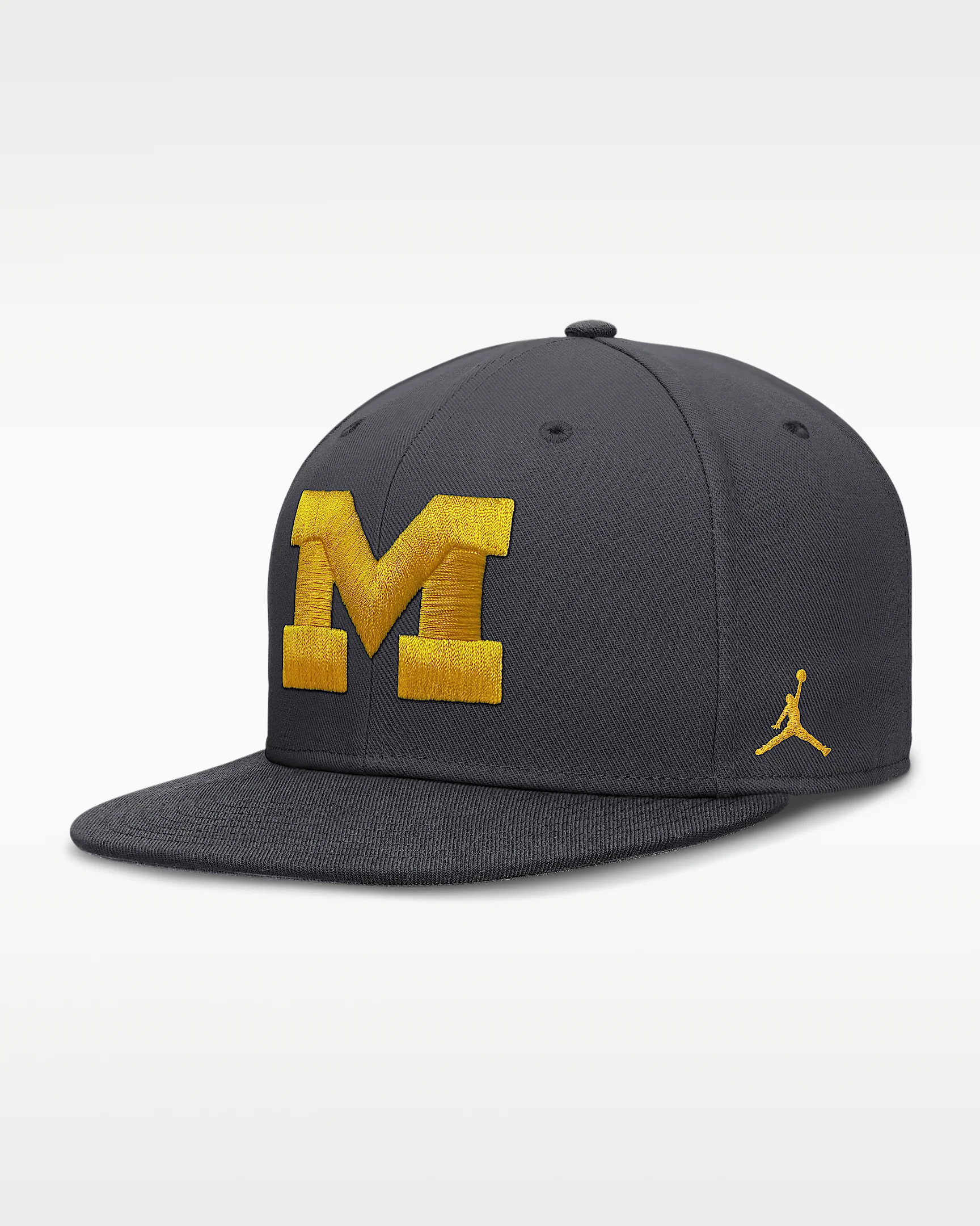 Michigan Pro Men's Jordan Brand Dri-FIT College Fitted Hat - 1