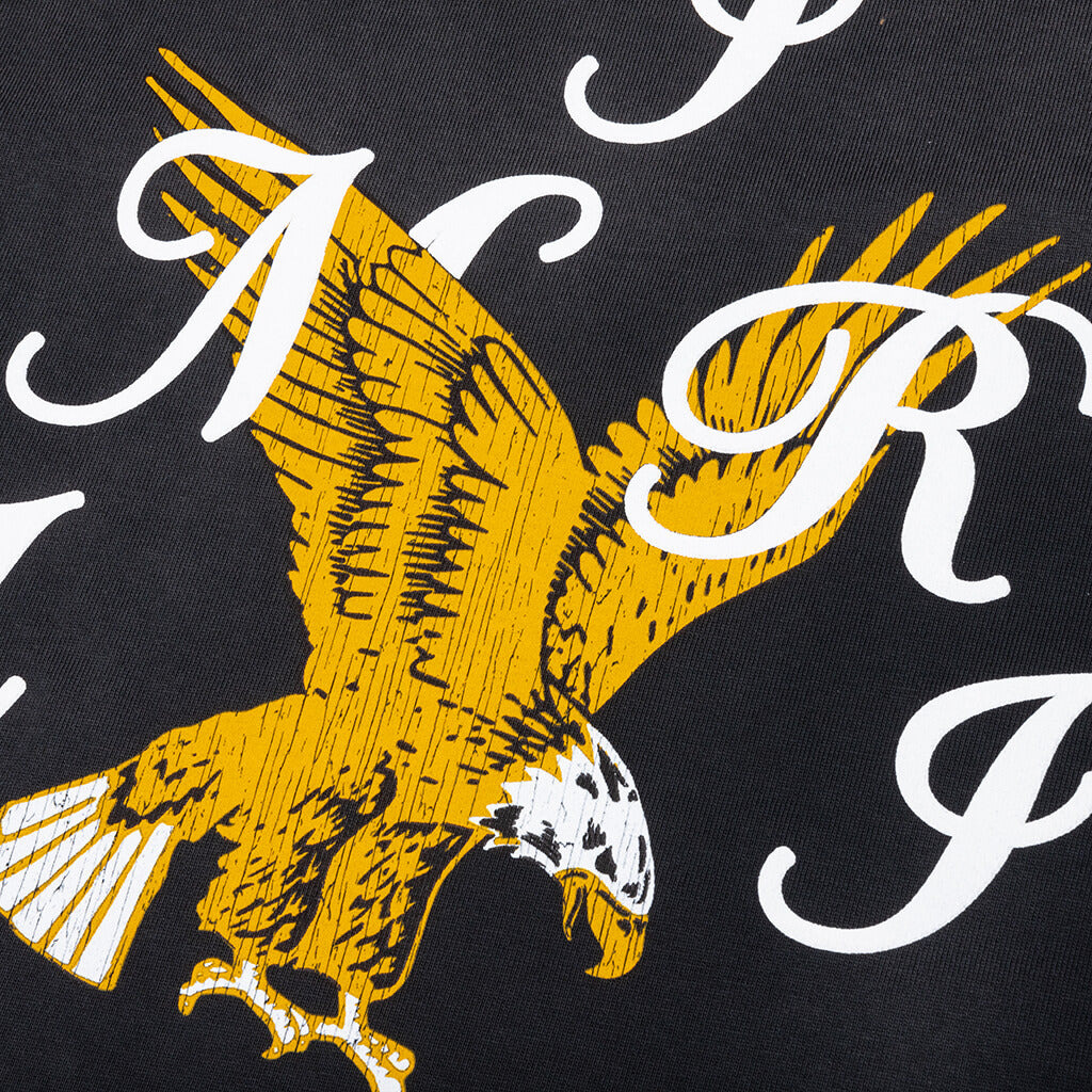 AMIRI EAGLE OVERSIZED TEE - BLACK - 3