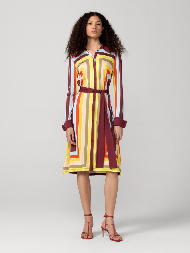 Diane Shirt Dress 1