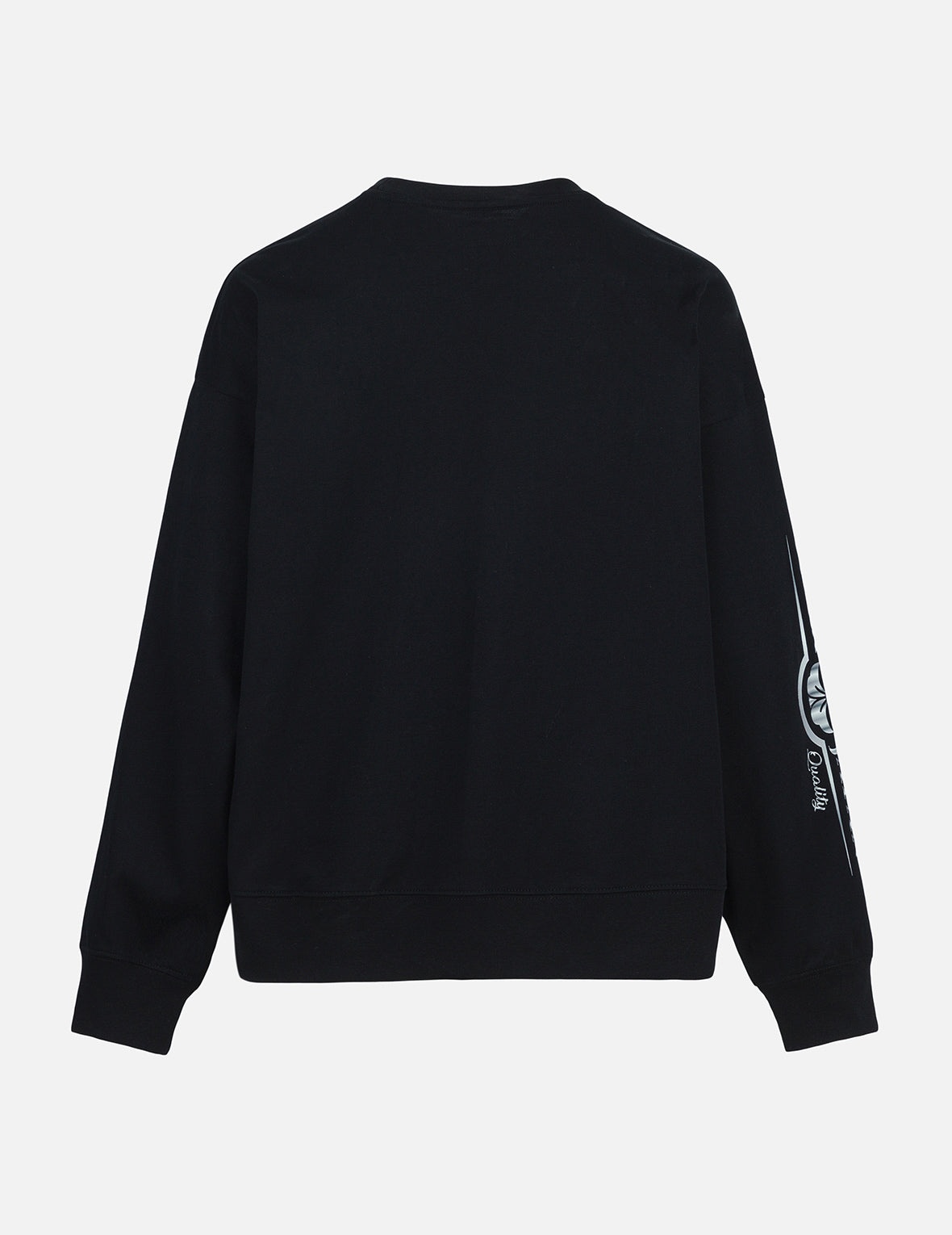 Logo Embroidery and Hummingbird Print Regular Fit T-shirt - 2