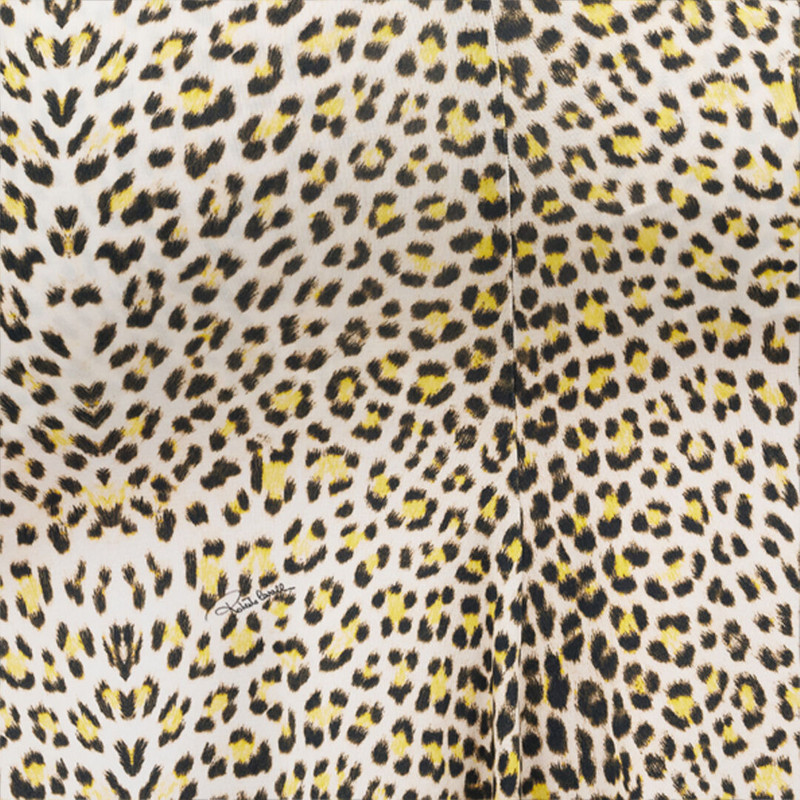 Pop Jaguar Print Midi Dress 5