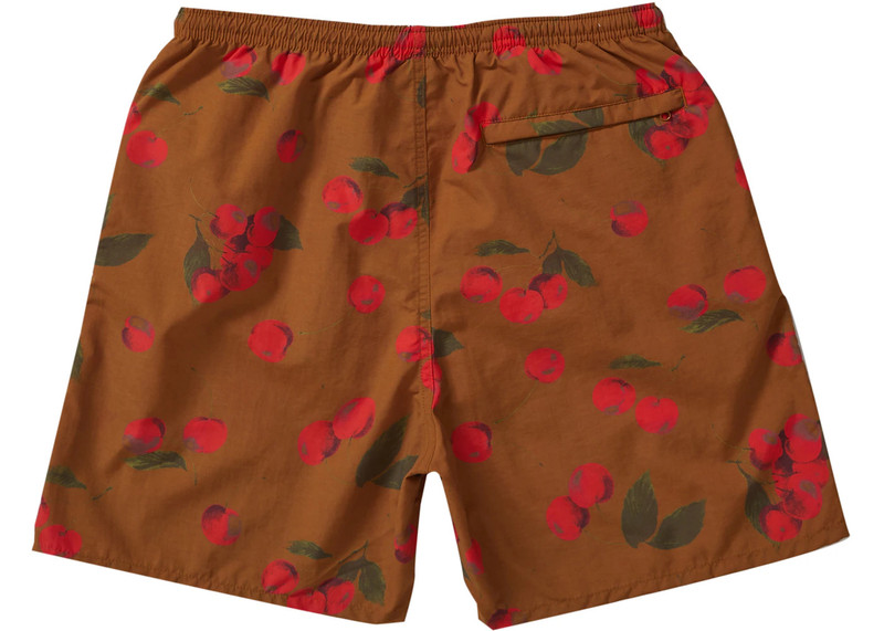 Supreme Supreme Nylon Water Short (SS19) Brown Cherry outlook