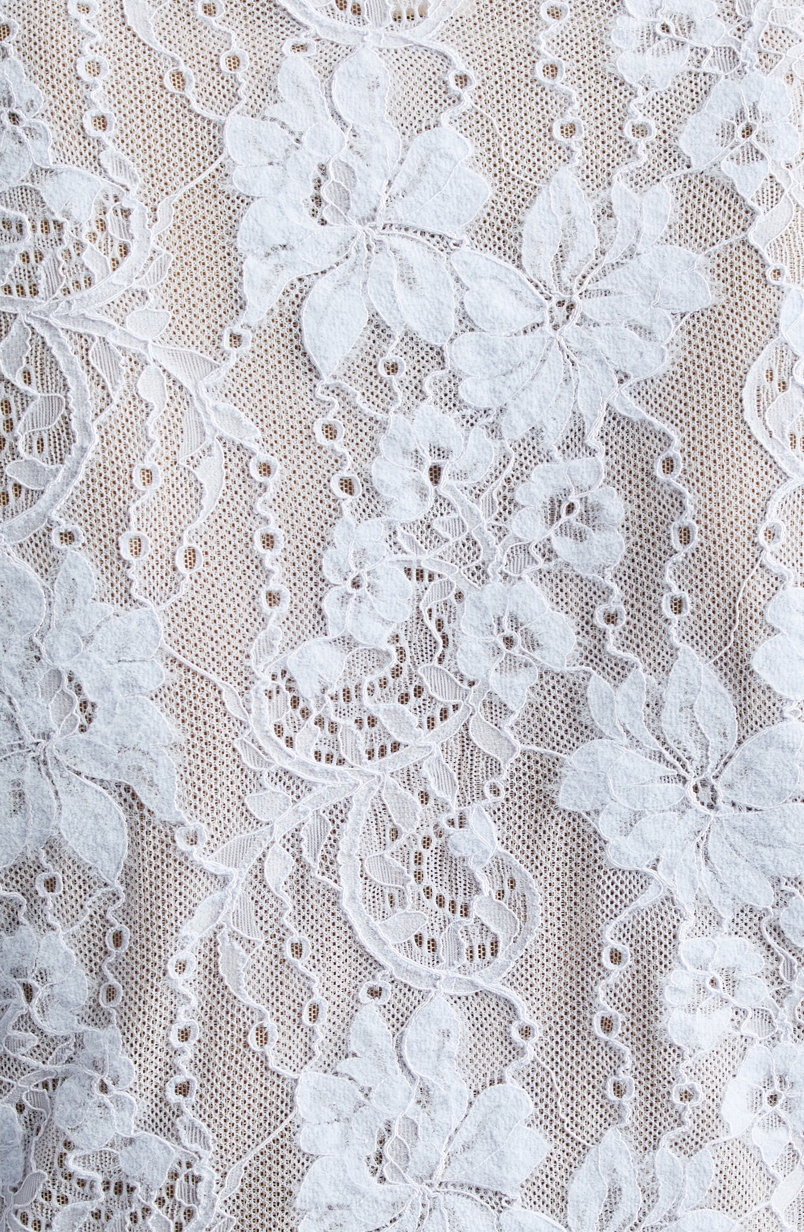 Zimmermann Lace Bodysuit in Light Blue at Nordstrom - 5