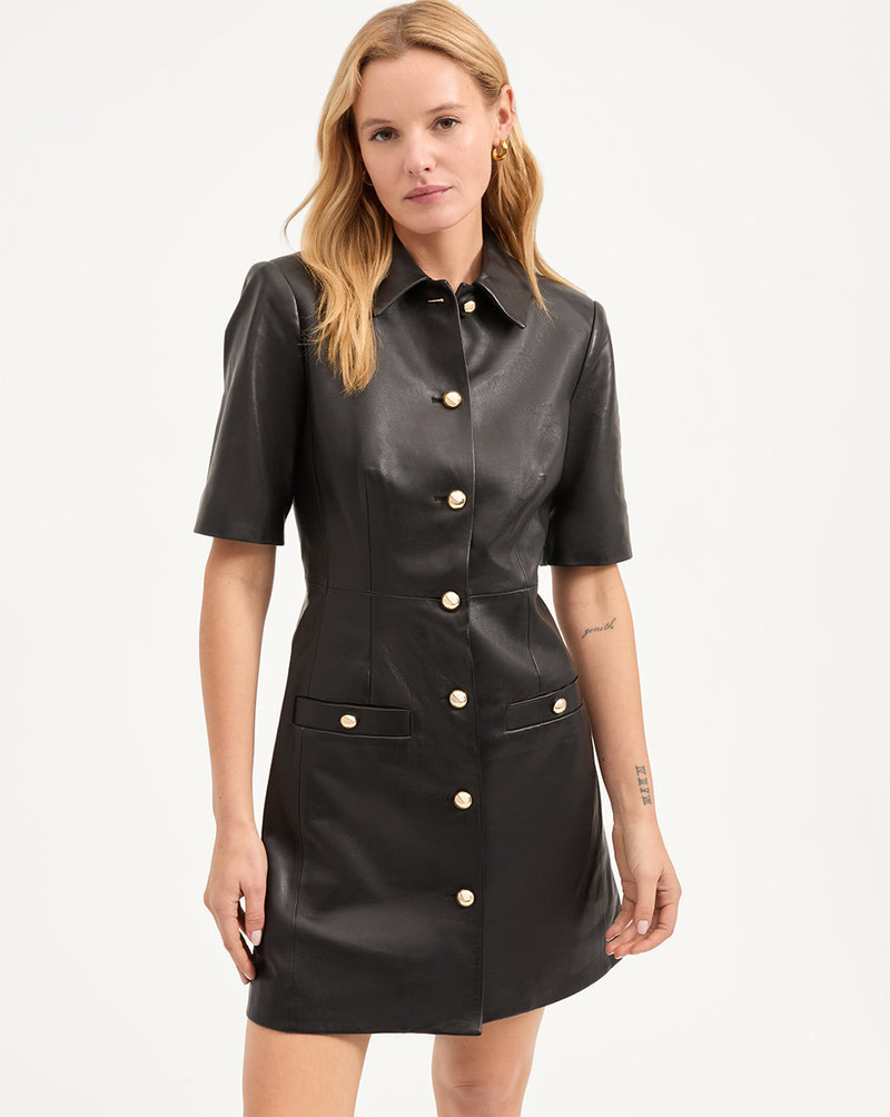VERONICA BEARD PAIGE DRESS outlook