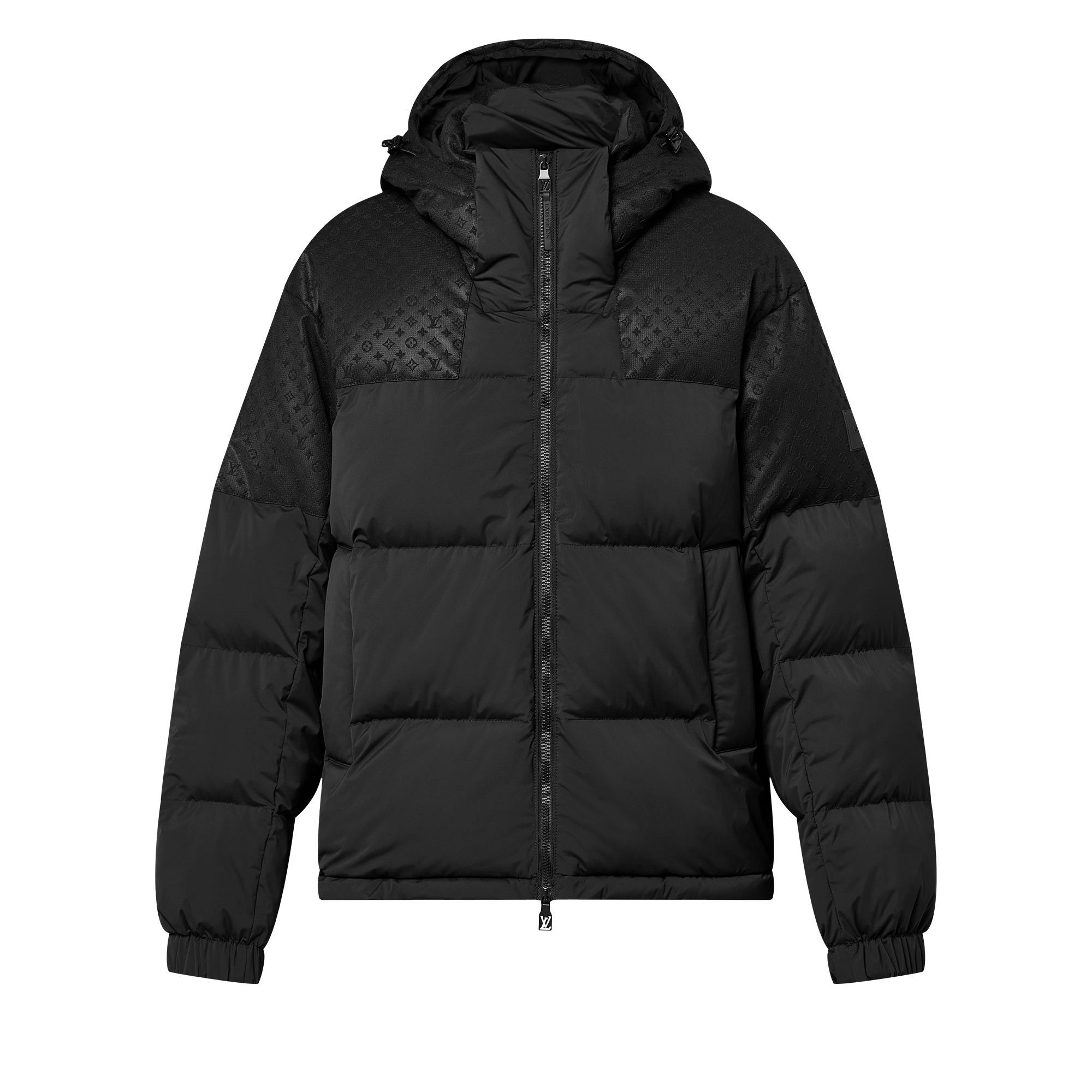 Placed Monogram Ecodown Blouson - 1