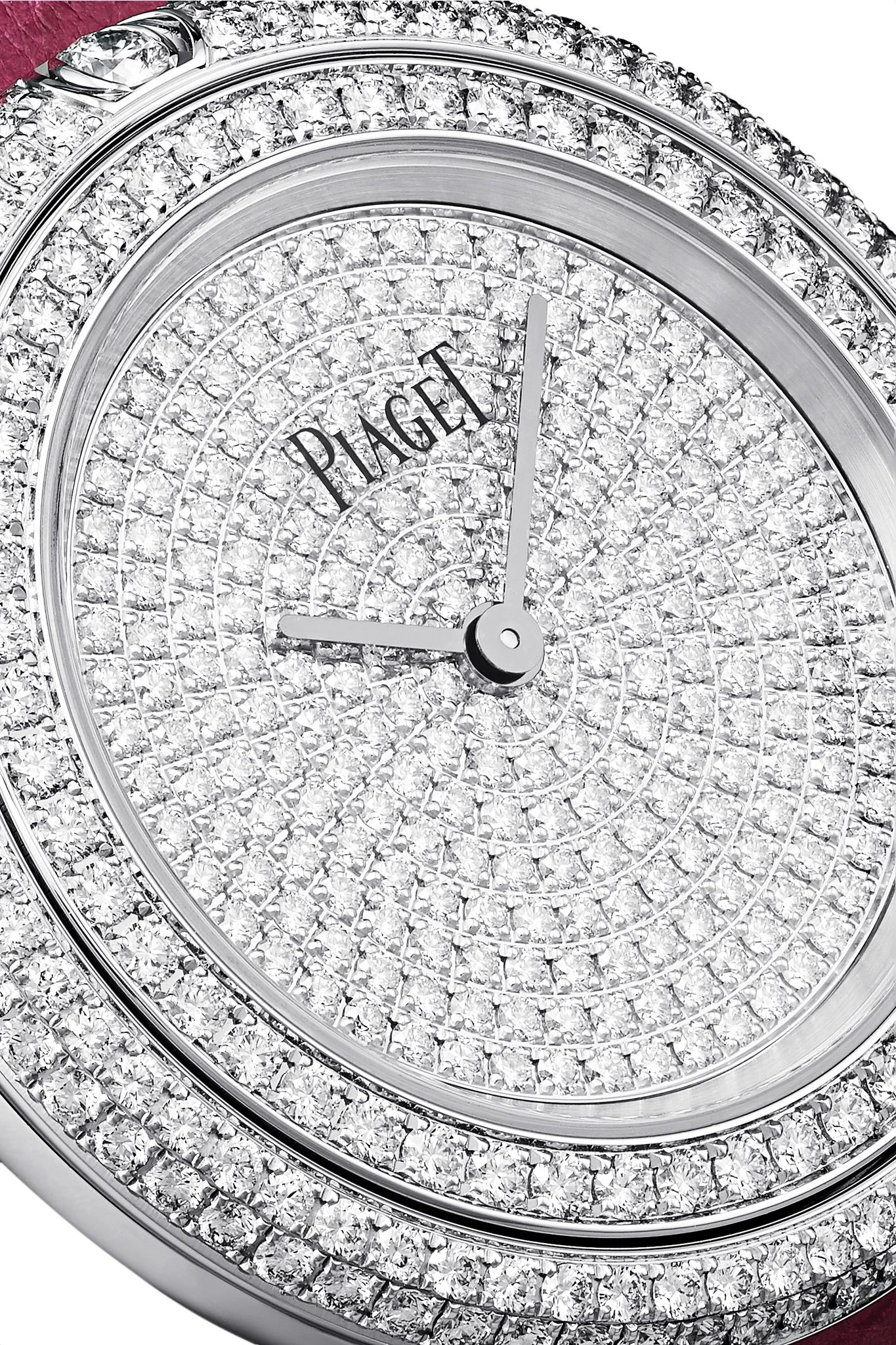 Possession 34mm 18-karat white gold, alligator and diamond watch - 5