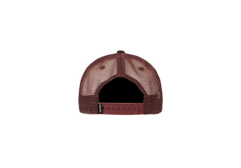 PALACE STAR LOGO TRUCKER BROWN outlook