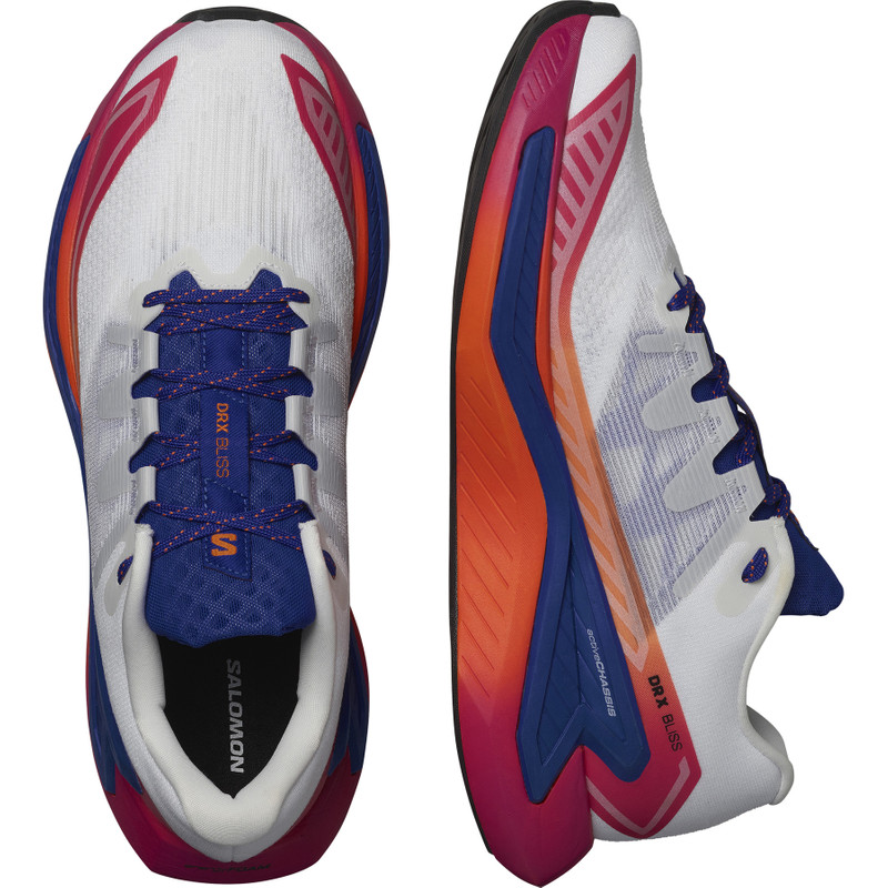 SALOMON DRX BLISS outlook