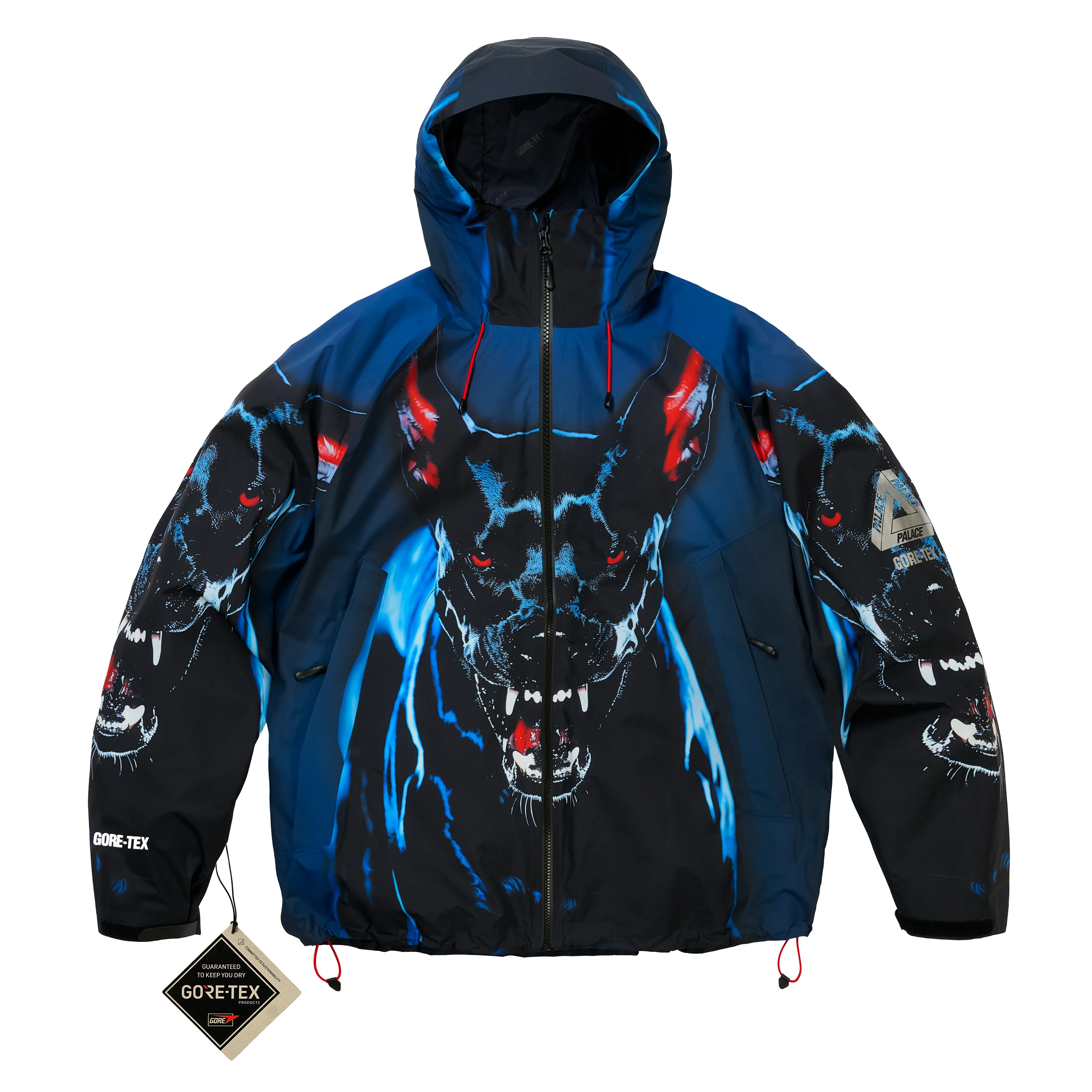 GORE-TEX 2L P-TEK JACKET K-NEIN PRINT - 1