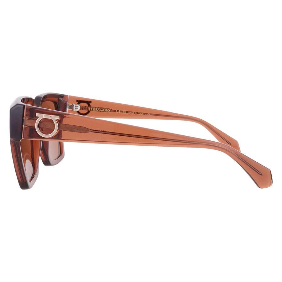 Ferragamo Brown Square Ladies Sunglasses SF2014S 232 54 - 4