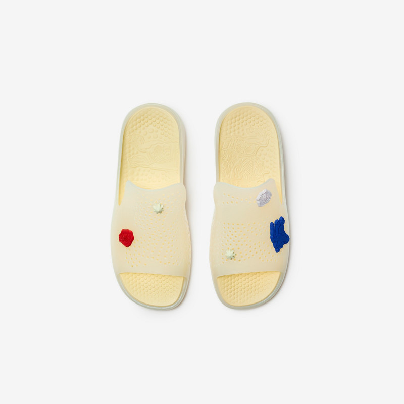 Rubber Stingray Slides 5