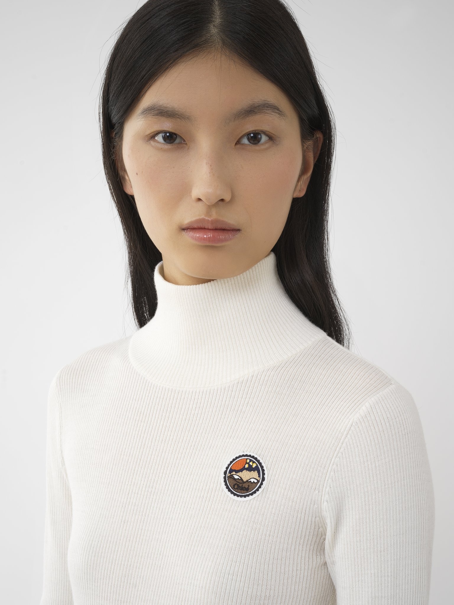 FITTED TURTLENECK TOP - 6