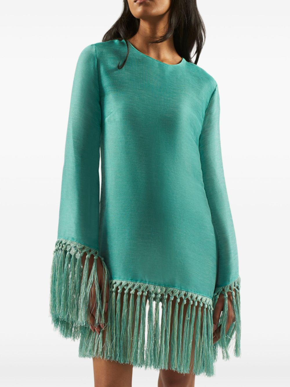 Claudia fringe-trim mini dress - 4