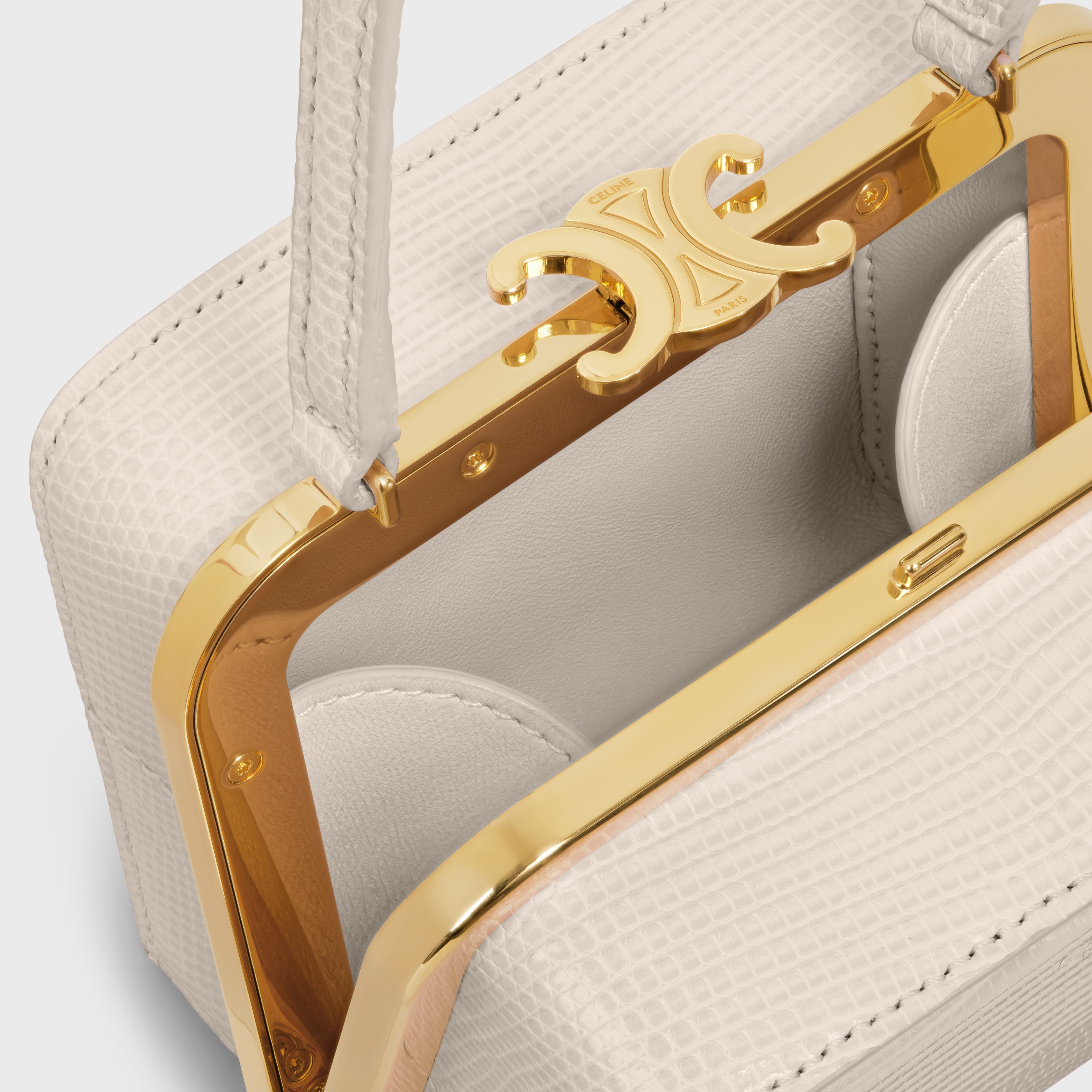 CELINE LANA MINAUDIERE in LIZARD - 4
