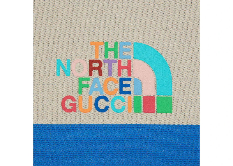 GUCCI Gucci x The North Face Hooded Jacket Ivory/Green outlook